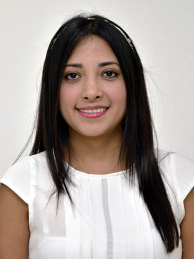 Marisol Sotelo Rejón (diputada)